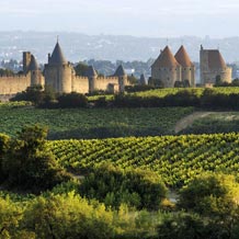 La cité de Carcassonne, vue d'ensemble